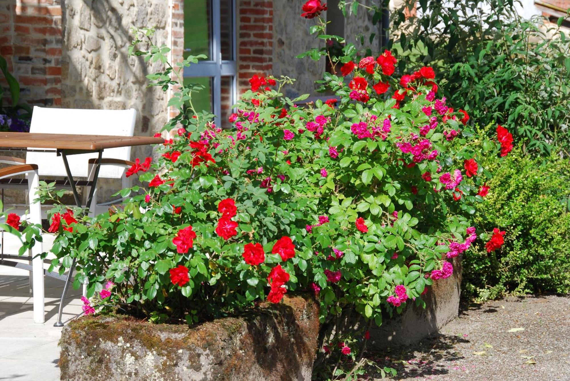 Les Maisons De Concasty Boisset  Cameră foto